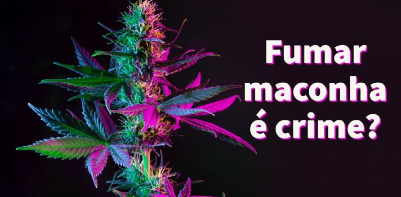 MACONHA FAZ MAL PARA A SAÚDE? 